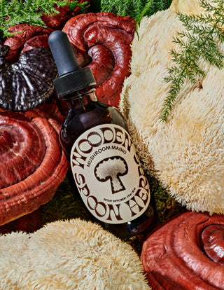 Mushroom Calm & Energy Tincture