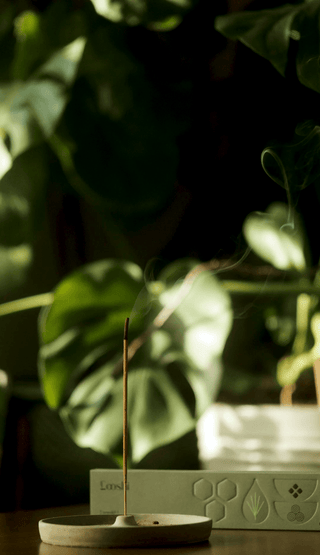 Looshi - REWILD Natural Incense Sticks with Vetiver, Musk, Redwood