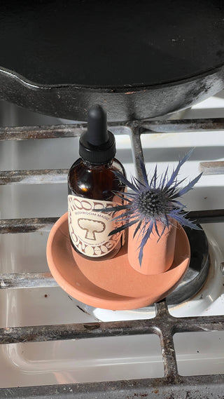 Mushroom Calm & Energy Tincture