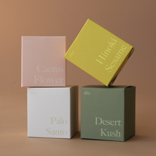 four shades collection abeled with different names: Pink box with "Cactus Flower", Yellow box with "Hinoki Sesame", Grey box with "Palo Santo", and green box with "Desert Kush".