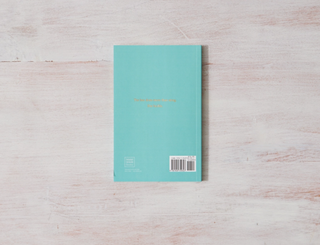 When The Bee Stings - book