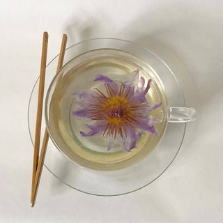 The Qi - Blue Lotus Flower Tea