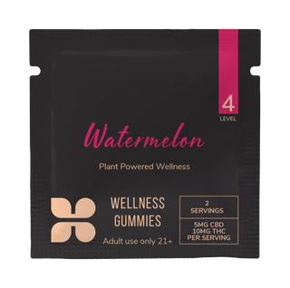 Watermelon plant-powered wellness gummies: A vibrant image of gummy candies made from watermelon, promoting health and well-being.