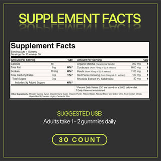 Motiv Matcha - Matcha Energy Gummy | Focus + Adaptogen Blend