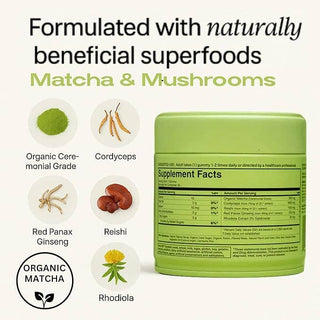 Motiv Matcha - Matcha Energy Gummy | Focus + Adaptogen Blend