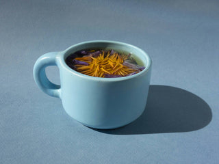 The Qi - Blue Lotus Flower Tea