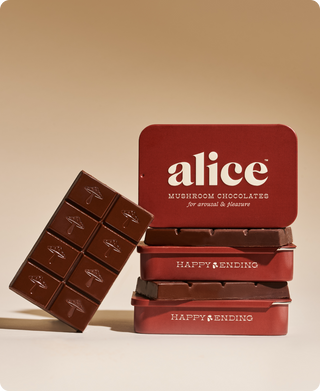 Alice chocolate bar in a tin, a delicious treat perfect for satisfying your sweet cravings.