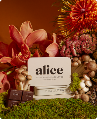 Alice mushroom chocolate bar and a bouquet of flowers, a sweet and thoughtful gift.