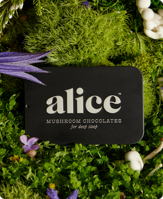 Alice Chocolate on a green background.