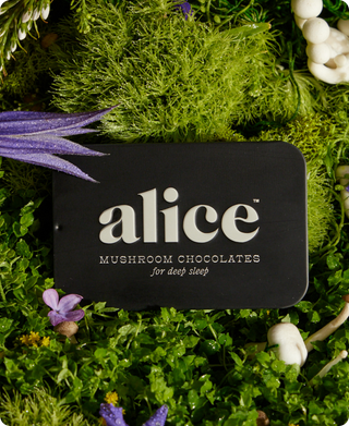 Nightcap — mushroom chocolates for deep sleep | Alice
