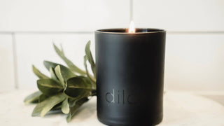 Dilo candles | Amber + Oakmoss