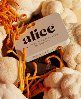 Alice's chocolate bar surrounded by mushrooms and various other food items.