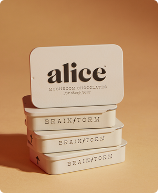 Brainstorm — mushroom chocolates for focus | Alice
